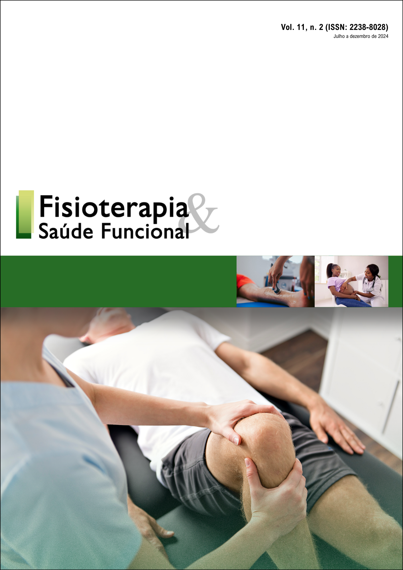 					Visualizar v. 11 n. 2 (2024): REVISTA FISIOTERAPIA & SAÚDE FUNCIONAL
				